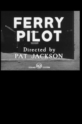 Ferry Pilot image