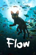 Flow Image