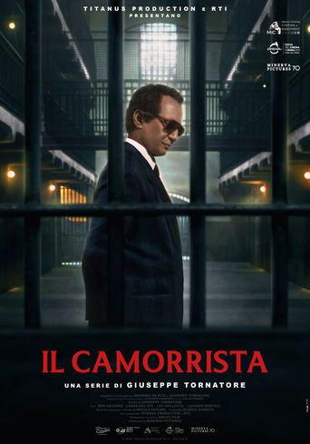 Il camorrista - Una serie di Giuseppe Tornatore