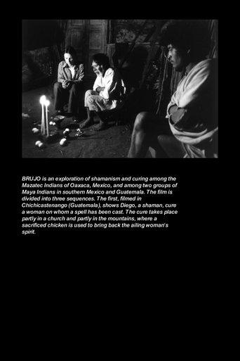 Shaman image