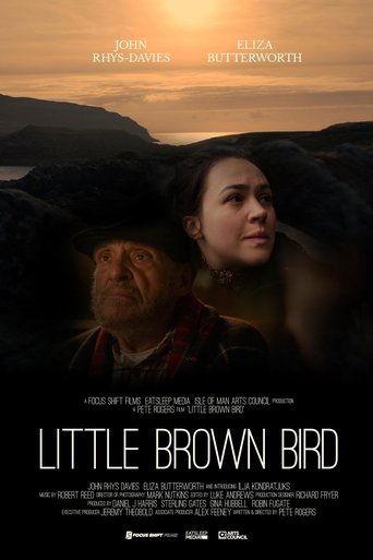 Little brown bird