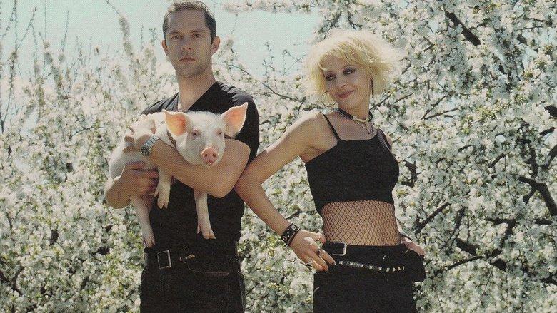 Honey and the Pig image