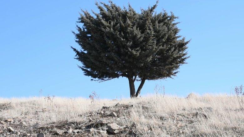 Where is the Final Destination? image