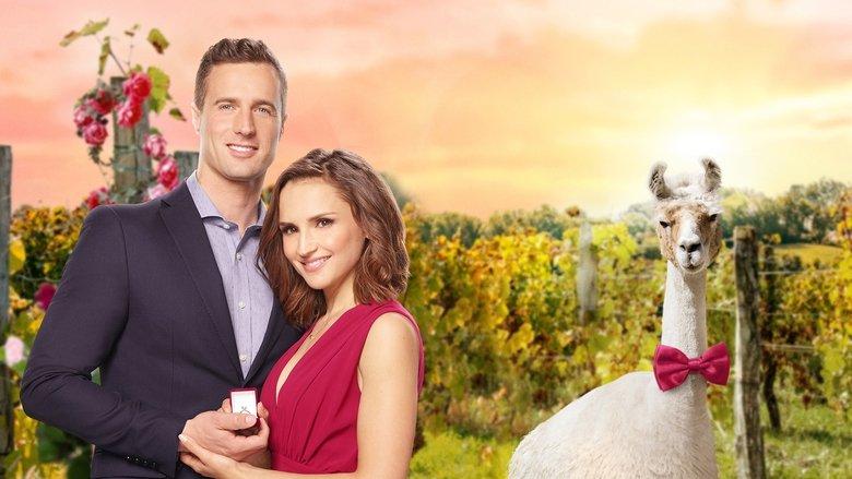 Valentine in the Vineyard image
