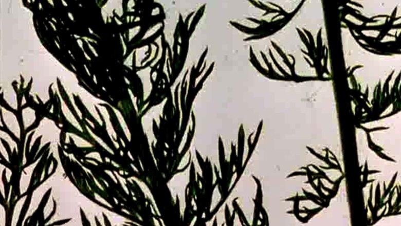 The Garden of Earthly Delights image