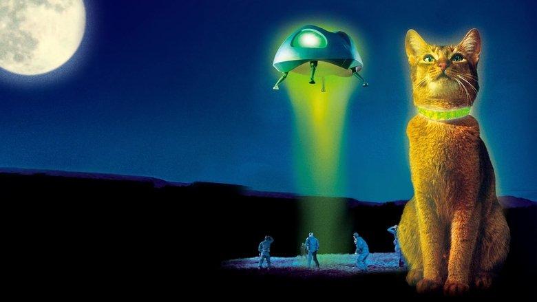 The Cat from Outer Space image