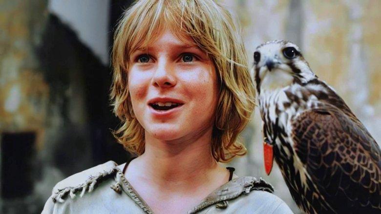 Tomáš and the Falcon King image