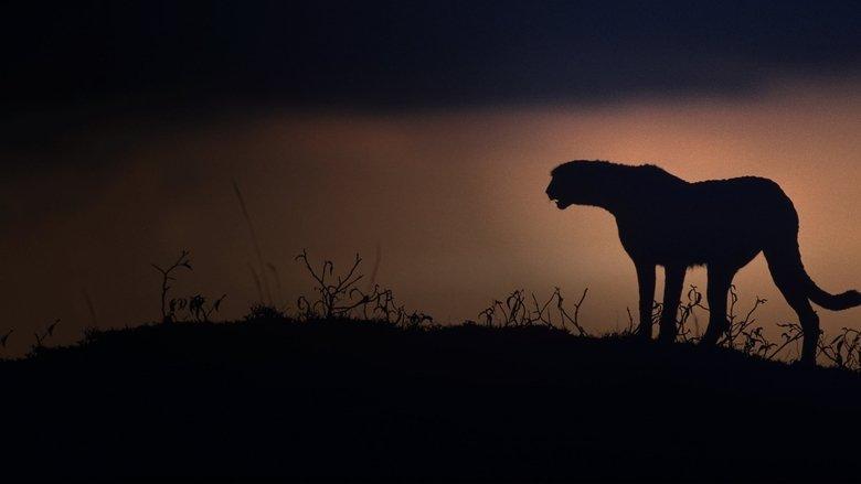 Kalahari: Land of Secret Alliances image