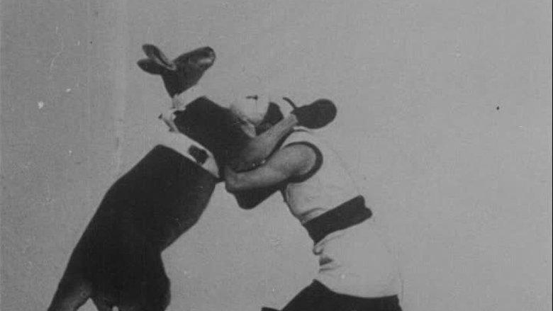 The Boxing Kangaroo image