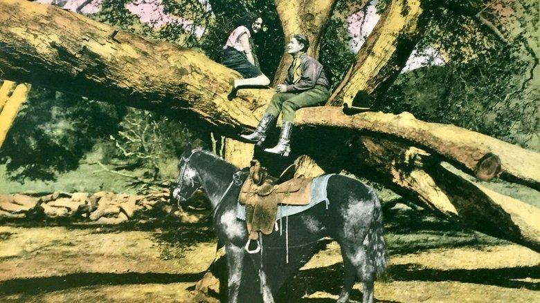 The Wild Girl image