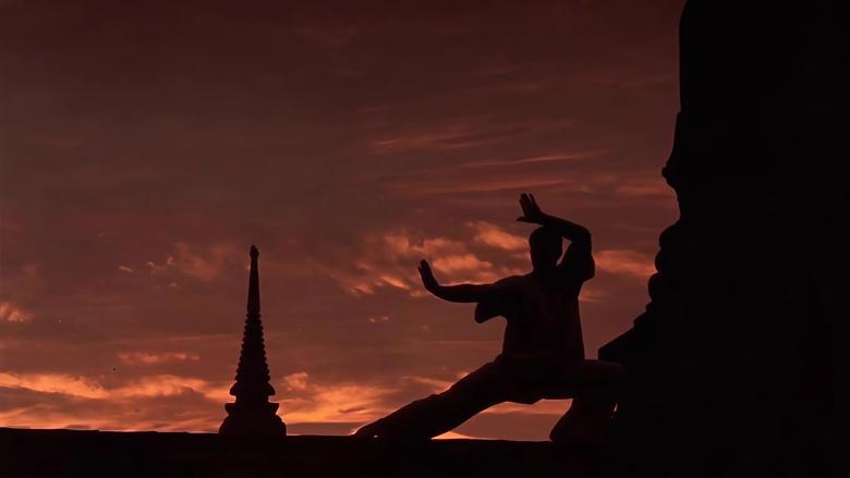Kickboxer image