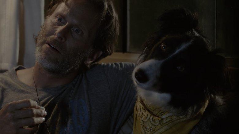 A Dog Named Duke image