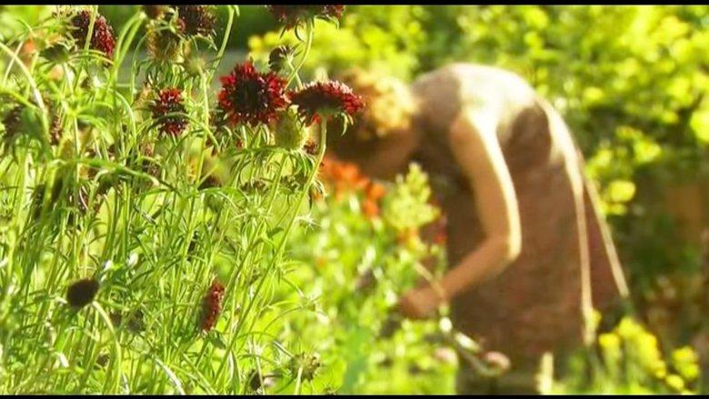 The Edible Garden image