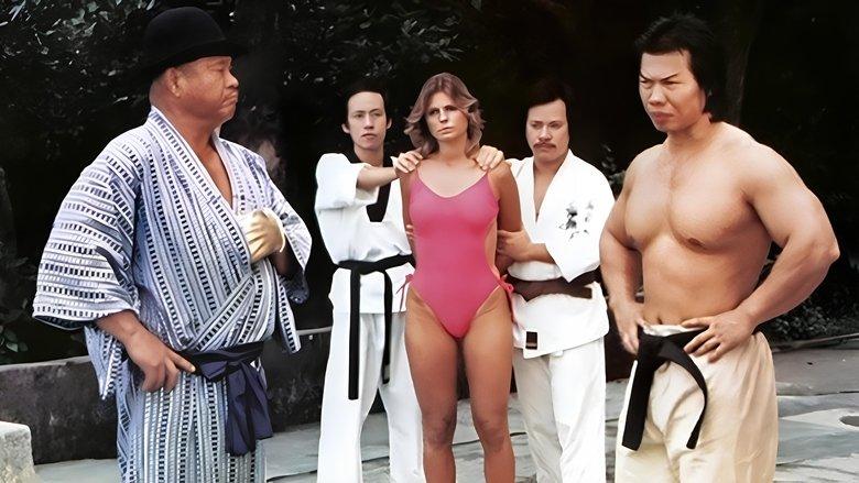 Bruce Strikes Back image