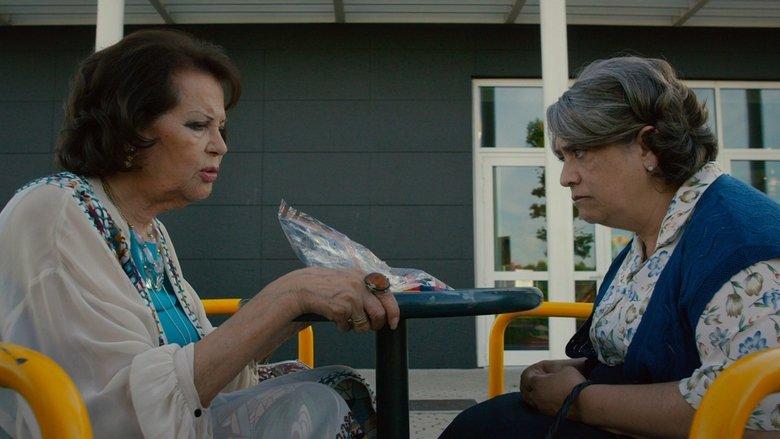 Nonnas on the Run image