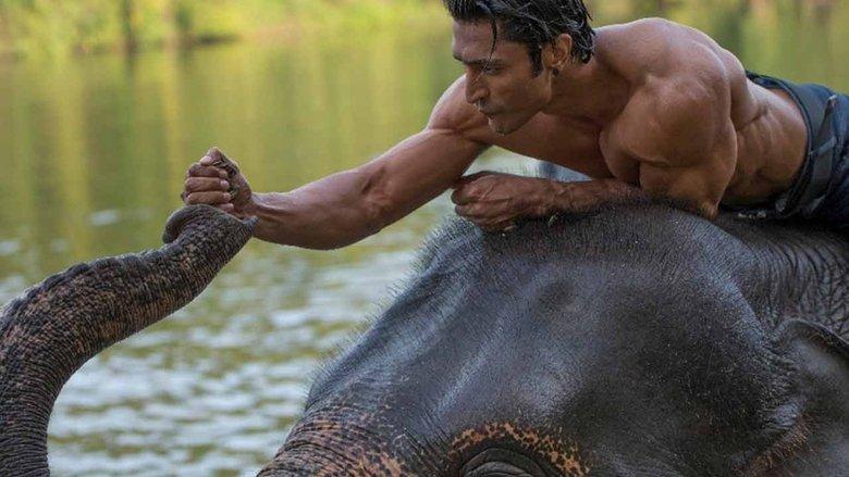 Junglee image