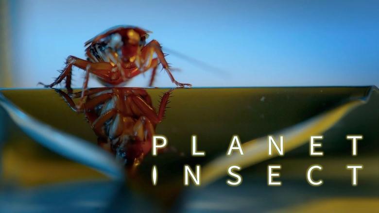 Planet Insect image