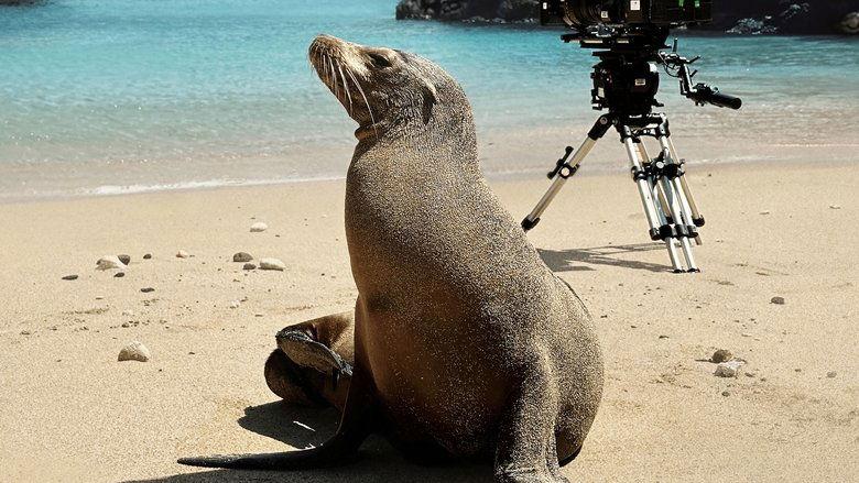 Guardians of the Galapagos image