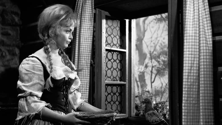 Cinderella image