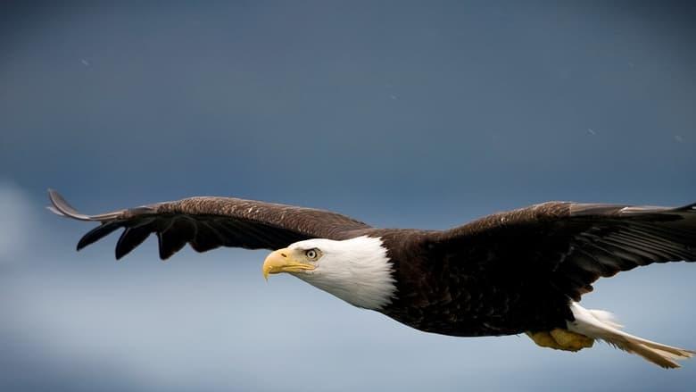 Rugged Justice image
