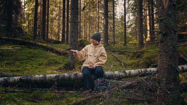 Once Upon a Time in a Forest image