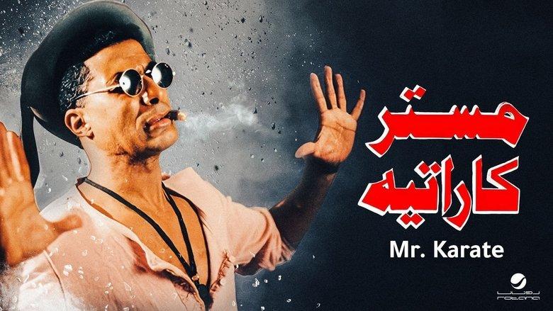 Mr. Karate image