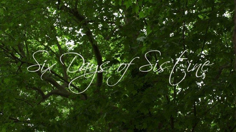 Six Days of Sistine image