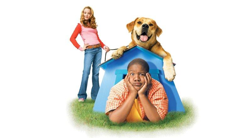 Life Is Ruff image