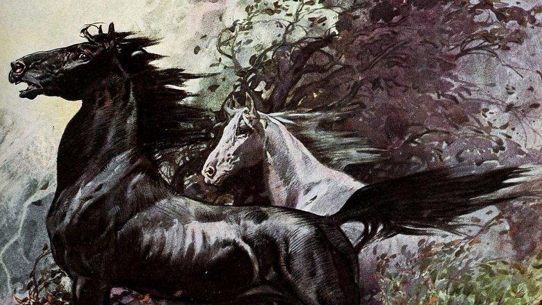 King of the Wild Horses image