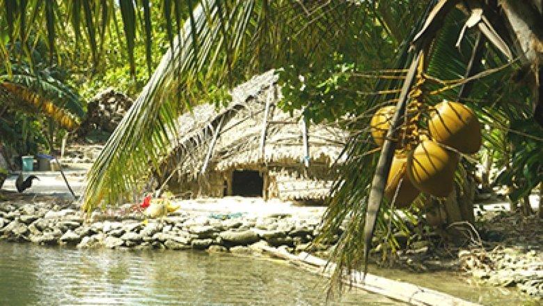 Nous, Tikopia image