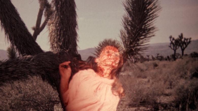Meatcleaver Massacre image