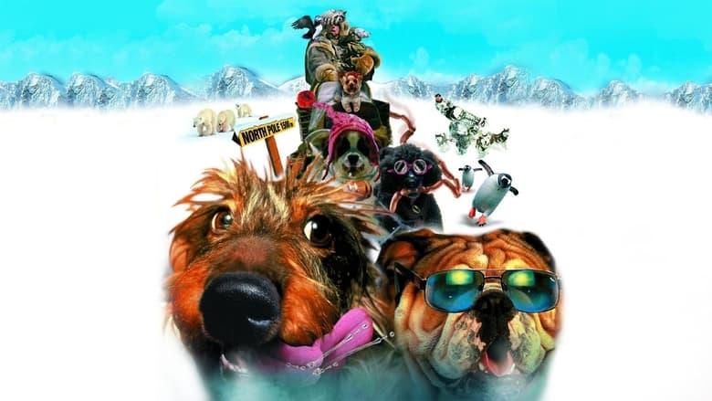 Chilly Dogs image
