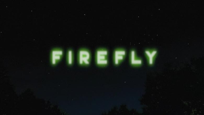 Firefly image