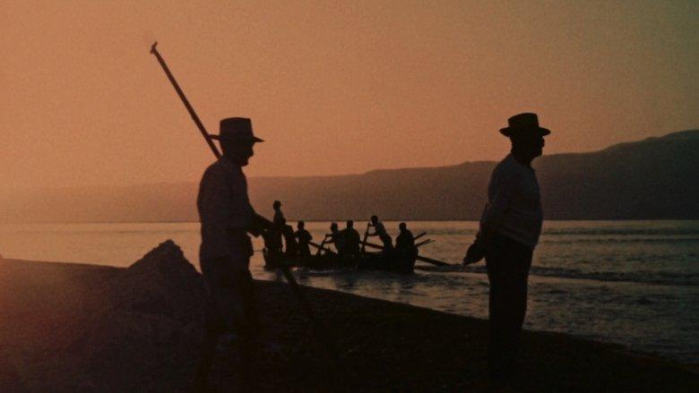 The Age of Swordfish image