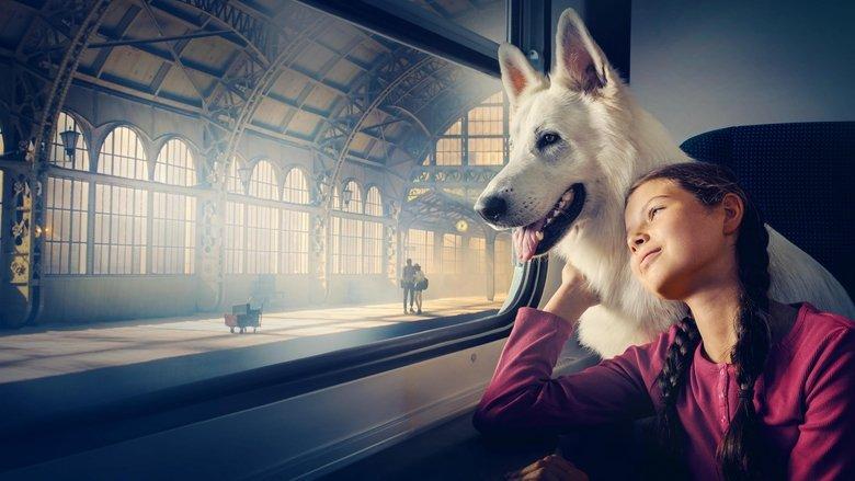The Travelling Dog image