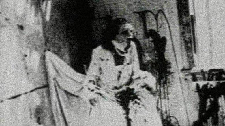 Begotten image