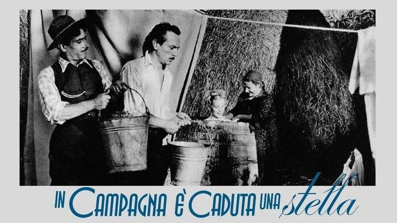 In campagna è caduta una stella image