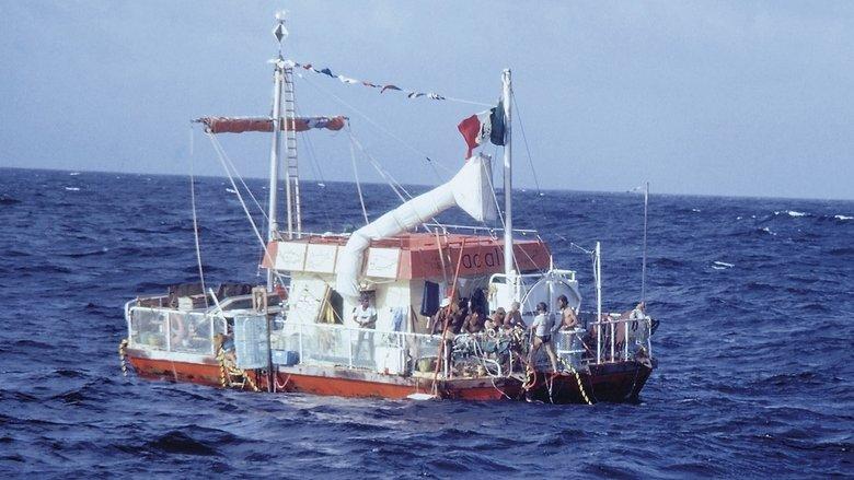 The Raft image