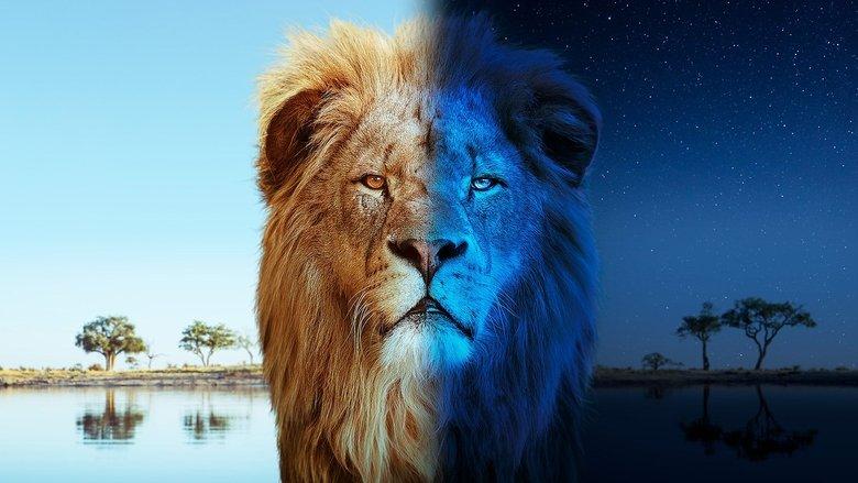 Big Cats 24/7 image