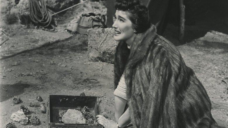 The Looters image