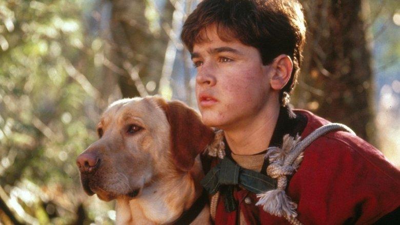 Far from Home: The Adventures of Yellow Dog image