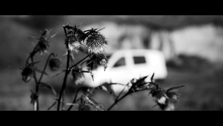 No Man's Land image