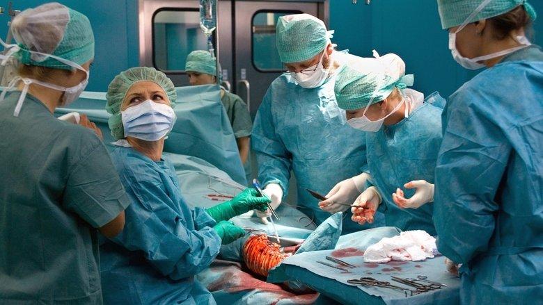 Nemocnice na kraji města po dvaceti letech image