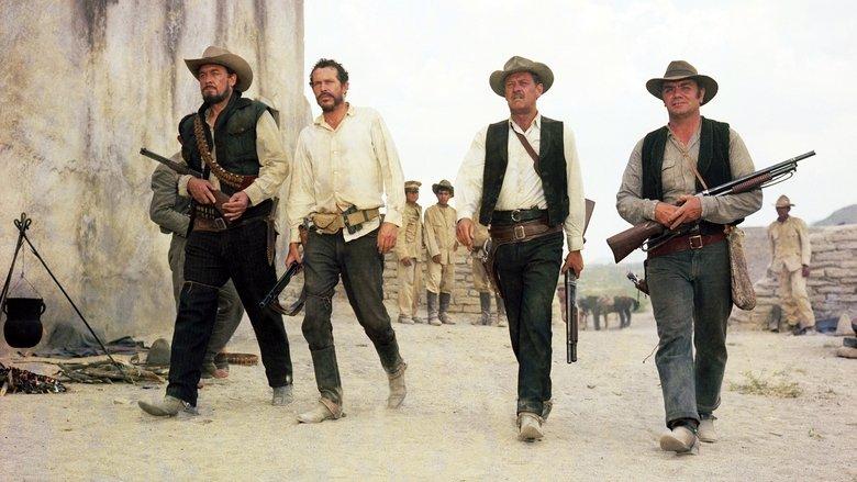 The Wild Bunch image