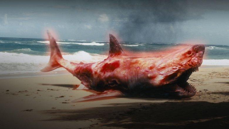Atomic Shark image