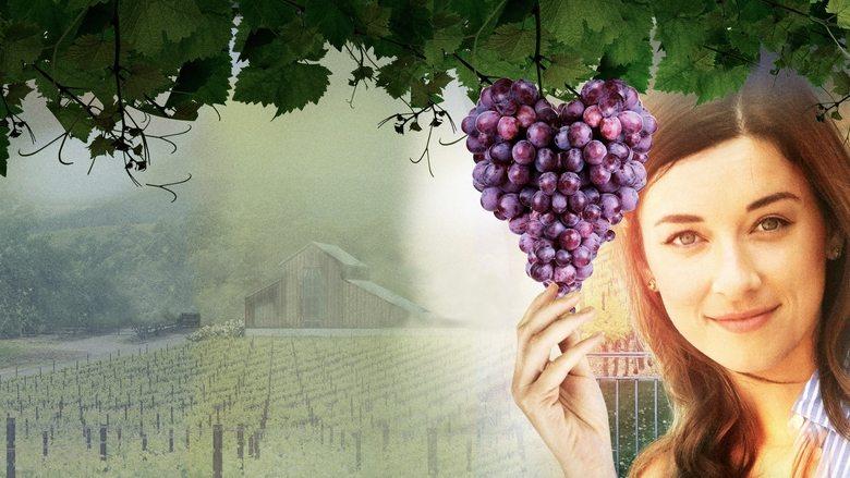 Love on the Vines image