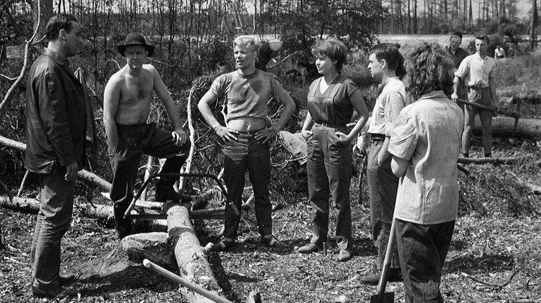 Chronicle of a Summer image