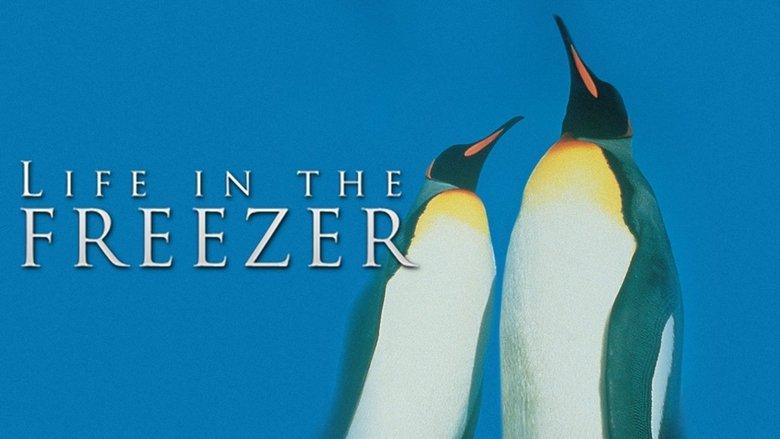 Life in the Freezer image