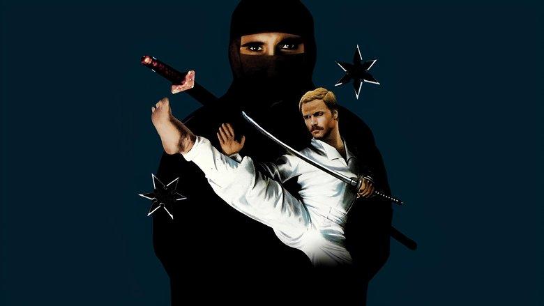 Enter the Ninja image