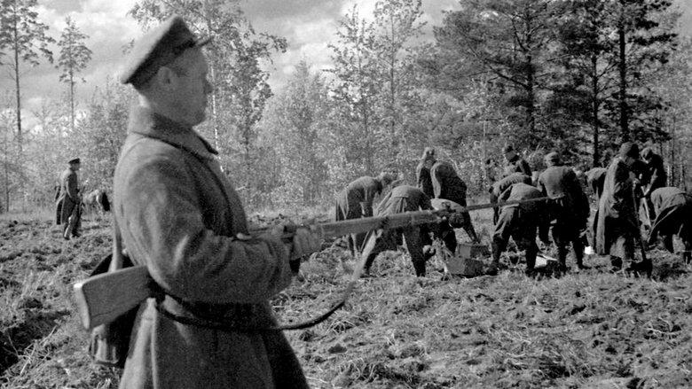 Stalin and the Katyn Massacre image